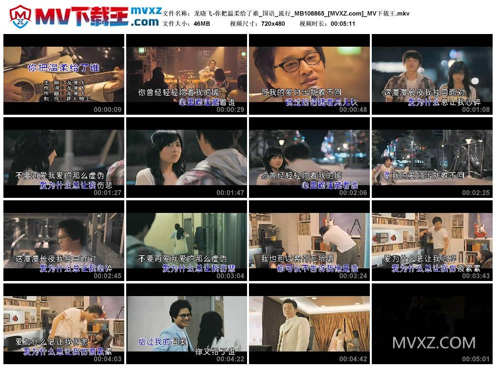 龙晓飞-你把温柔给了谁_国语_流行_MB108865